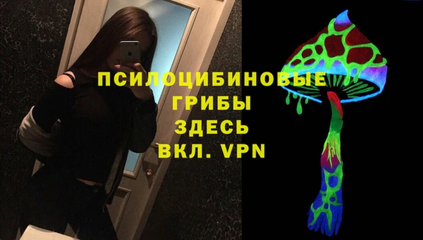 Альфа ПВП Аркадак
