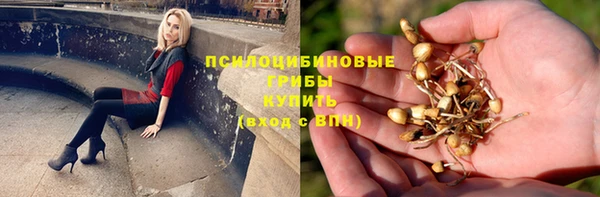 Альфа ПВП Аркадак