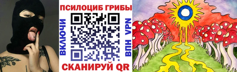 Псилоцибиновые грибы Magic Shrooms  купить  цена  Приморск 